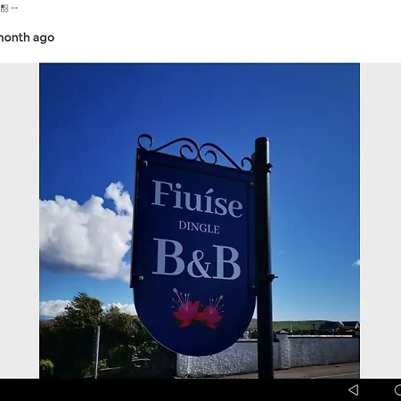 菲莱斯食宿酒店 住宿加早餐酒店 4*