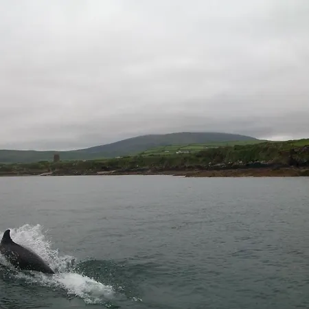 菲莱斯食宿酒店 住宿加早餐酒店 4*