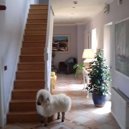 菲莱斯食宿酒店 住宿加早餐酒店 4*