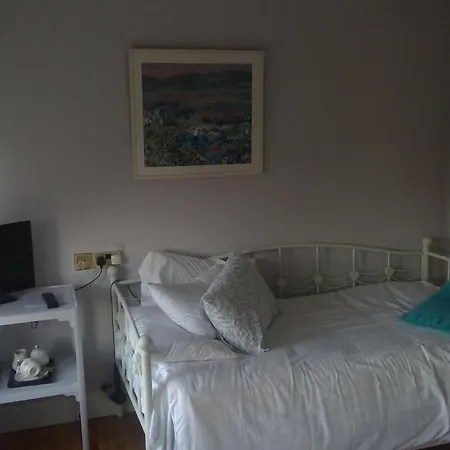 菲莱斯食宿酒店 住宿加早餐酒店 丁格尔