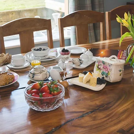 菲莱斯食宿酒店 4* 丁格尔