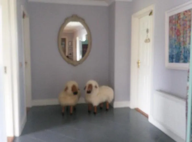 Fiuise Oda ve Kahvaltı