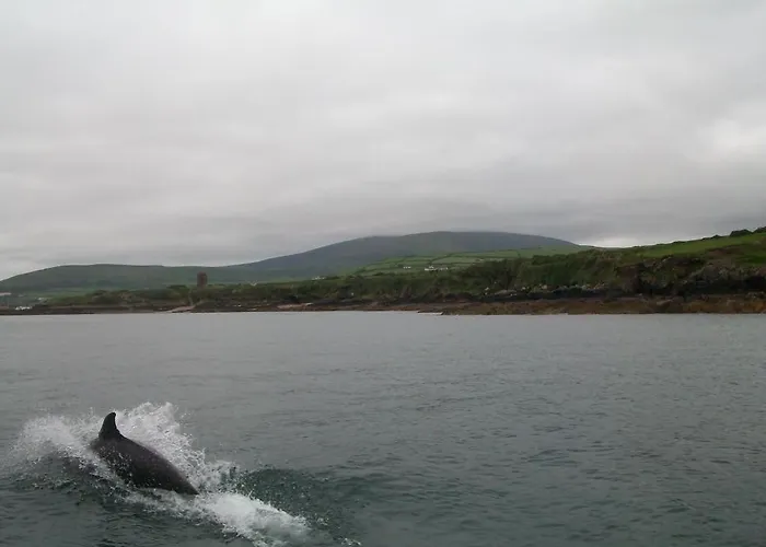 Fiuise Oda ve Kahvaltı 4*