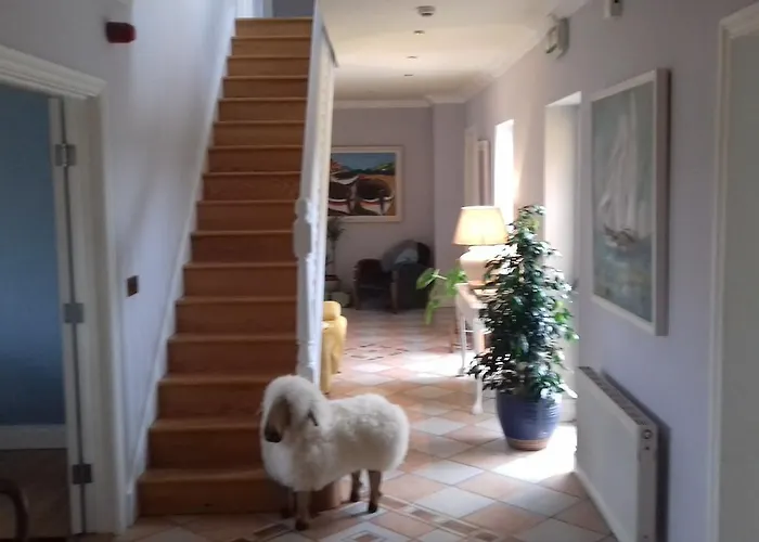 Fiuise Alojamento de Acomodação e Pequeno-almoço 4*